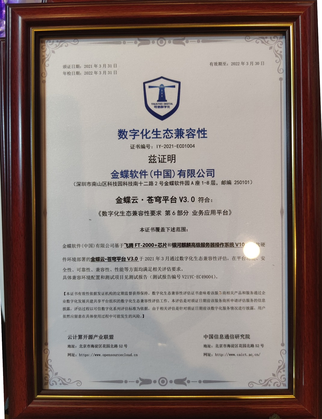 1617631118601348.jpg